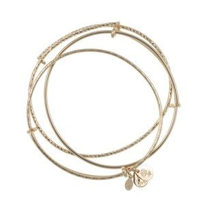 Alex and Ani Gold Bangle Set